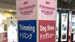 ドッグショーは楽しい！わんちゃんいっぱい！
