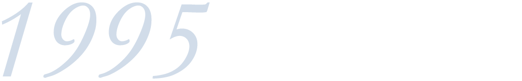1995年